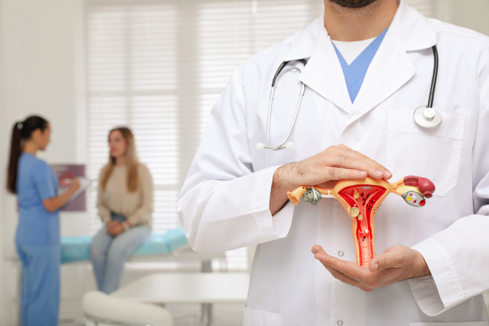 Obstetrics and Gynecology Specialization Training Program (For European Resident Physicians Only)