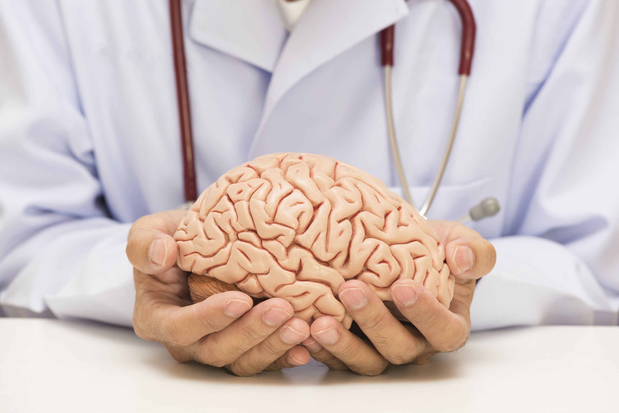 Neurosurgery Specialization Training Program (For European Resident Physicians Only)