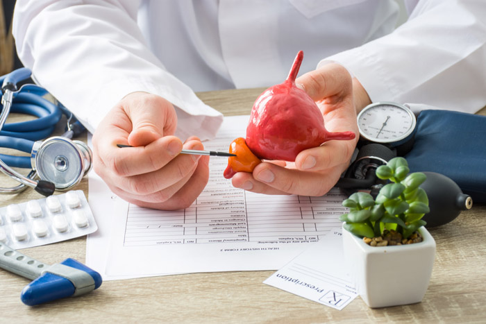 Urology Specialization Training Program (For European Resident Physicians Only)