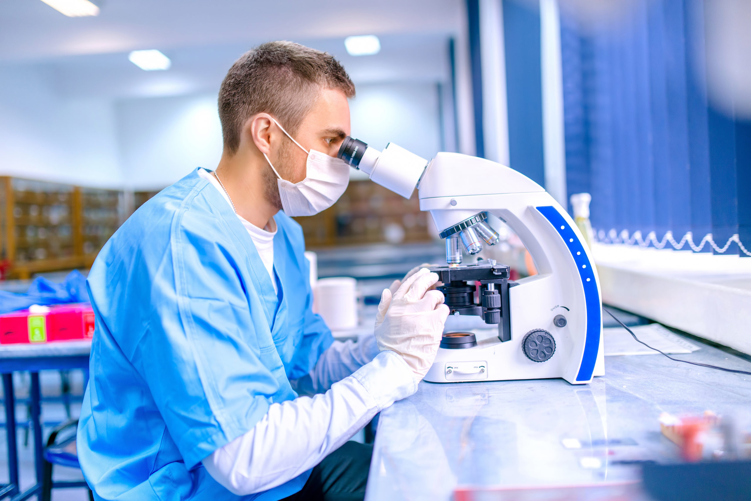 Training Program Bachelor's Degree in Clinical Laboratory