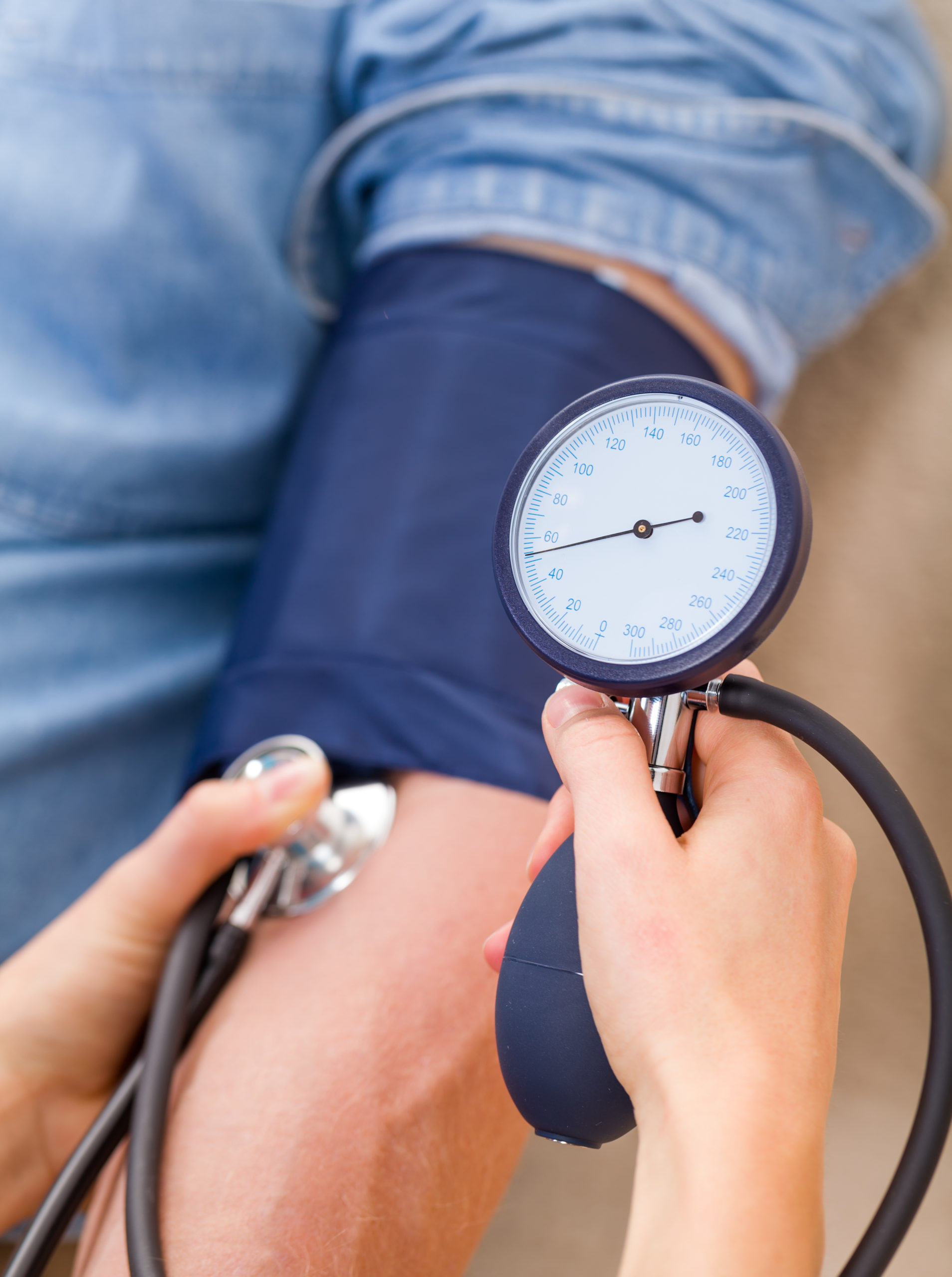 Training Program Bachelor's Degree in Nursing